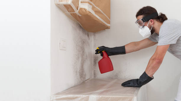 Professional Mold Testing technician working in Cross Fork, PA
